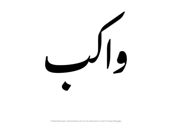 The Muslim name word Wakib written in Nastaliq calligraphic script