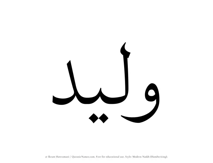 The Muslim name Waleed written in naskh script