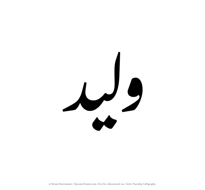The Muslim name word Waleed written in Nastaliq calligraphic script