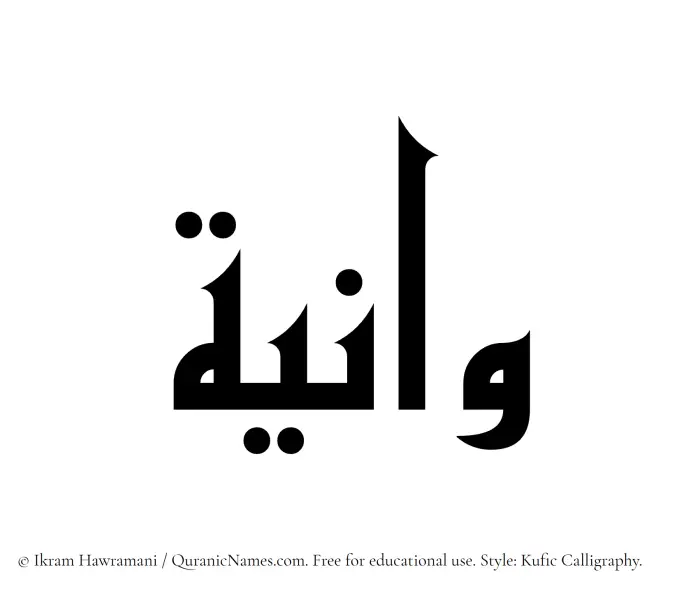 The Muslim name Waniya written in Kufi/Kufic calligraphic script