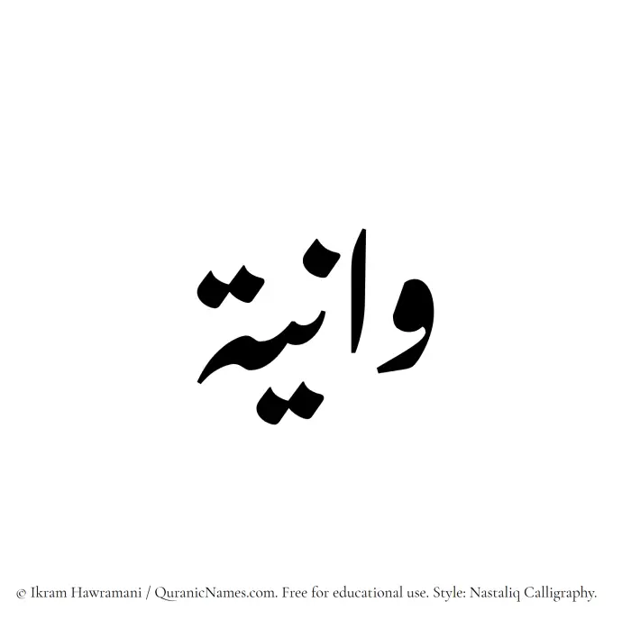 The Muslim name word Waniya written in Nastaliq calligraphic script