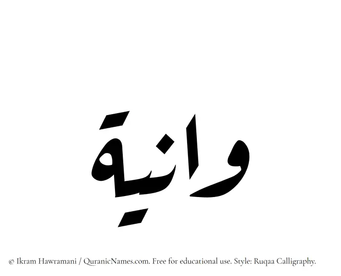 The Muslim name Waniya written in Ruqaa calligraphic script