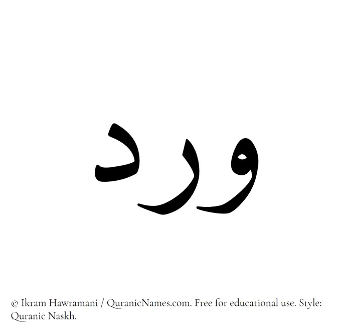 The Muslim name Ward written in Quranic naskh script