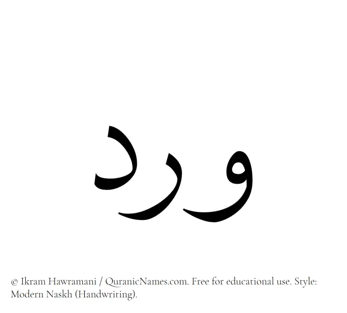 The Muslim name Ward written in naskh script