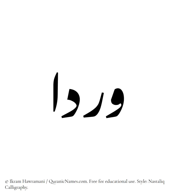 The Muslim name word Wardaa written in Nastaliq calligraphic script