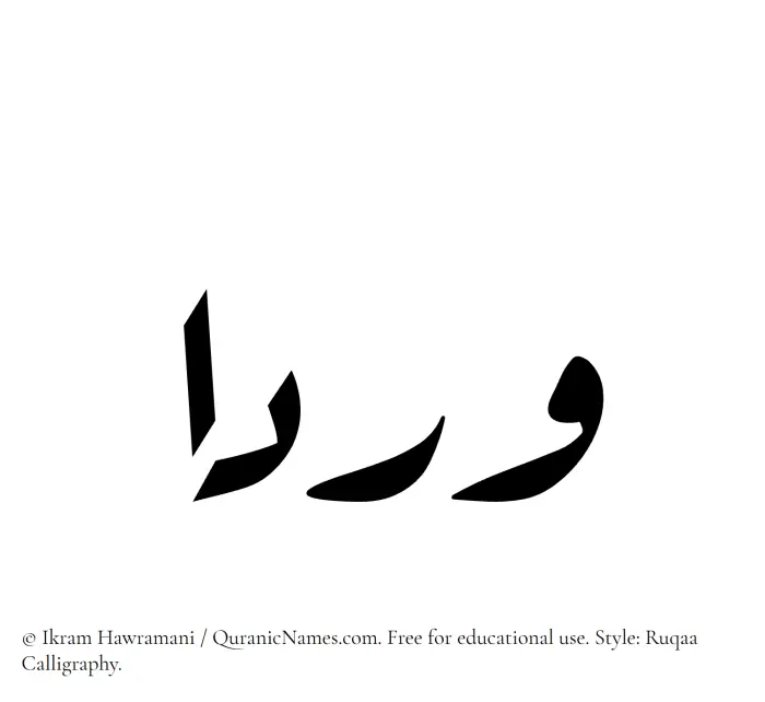 The Muslim name Wardaa written in Ruqaa calligraphic script