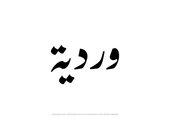 The Muslim name word Wardiyyah written in Nastaliq calligraphic script