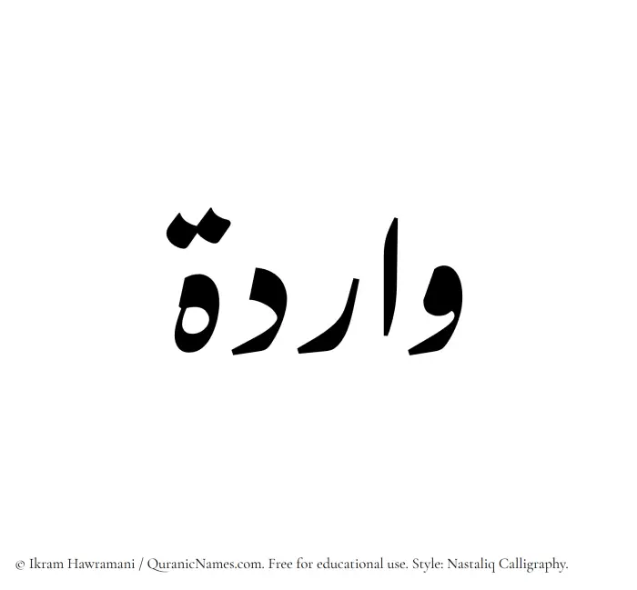 The Muslim name word Warida written in Nastaliq calligraphic script