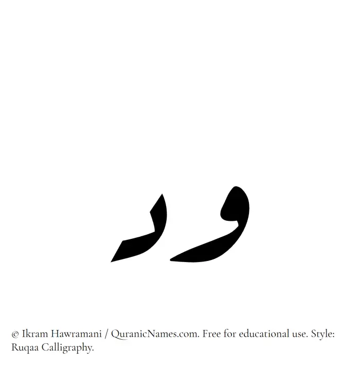 The Muslim name Wid written in Ruqaa calligraphic script