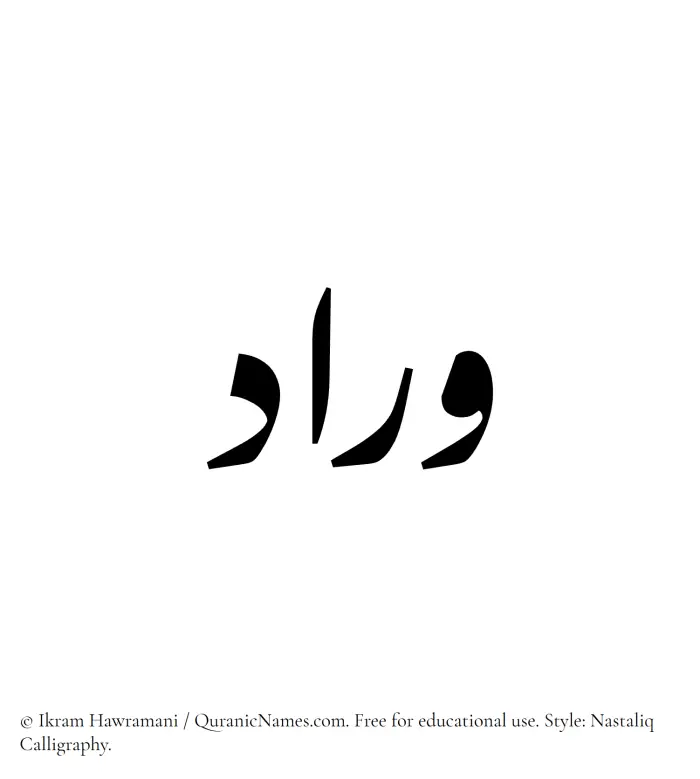 The Muslim name word Wirad written in Nastaliq calligraphic script
