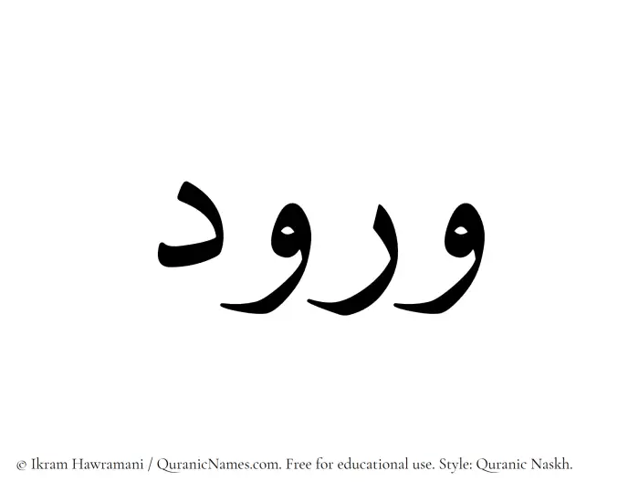 The Muslim name Wurud written in Quranic naskh script