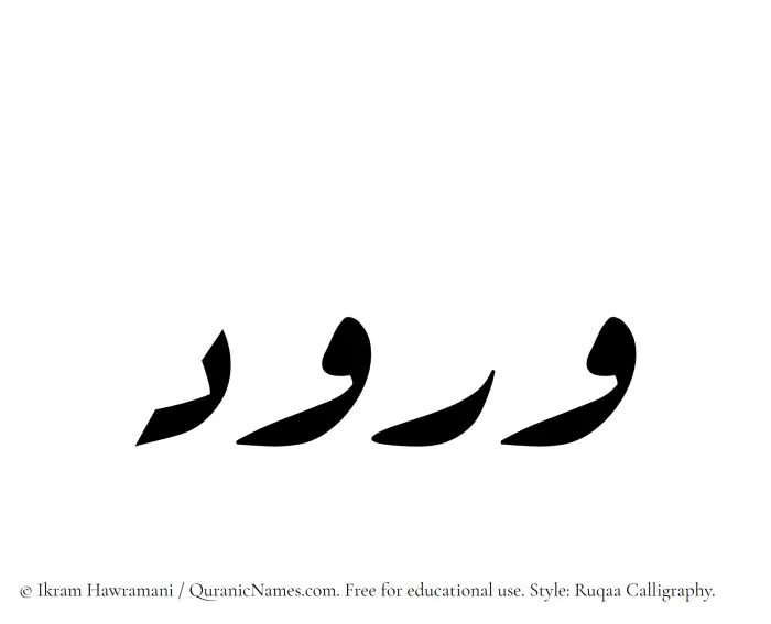 The Muslim name Wurud written in Ruqaa calligraphic script