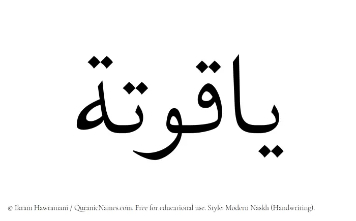 The Muslim name Yaquta written in naskh script