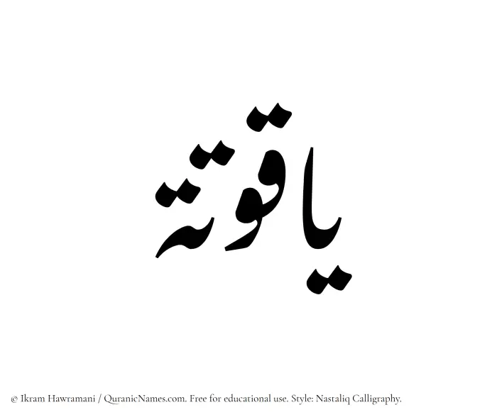 The Muslim name word Yaquta written in Nastaliq calligraphic script