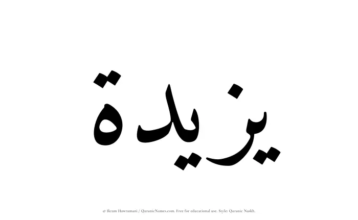 The Muslim name Yazeedah written in Quranic naskh script