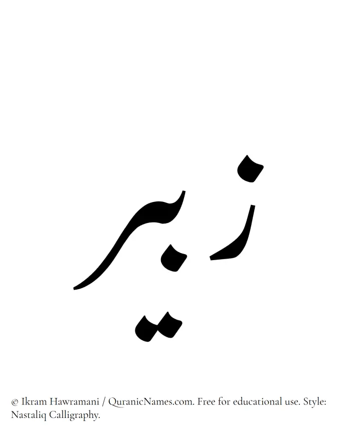 The Muslim name word Zabeer written in Nastaliq calligraphic script