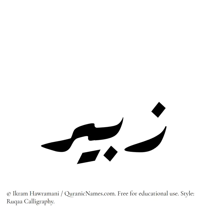 The Muslim name Zabeer written in Ruqaa calligraphic script