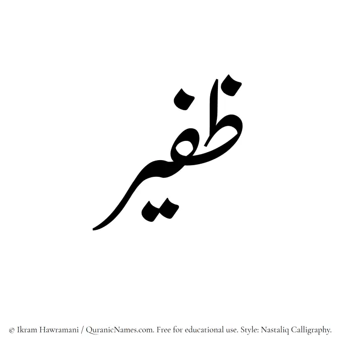 The Muslim name word Zafeer written in Nastaliq calligraphic script