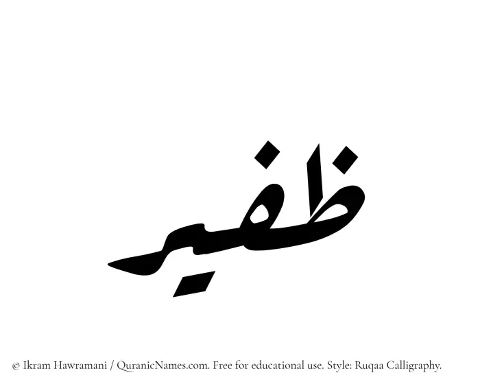 The Muslim name Zafeer written in Ruqaa calligraphic script