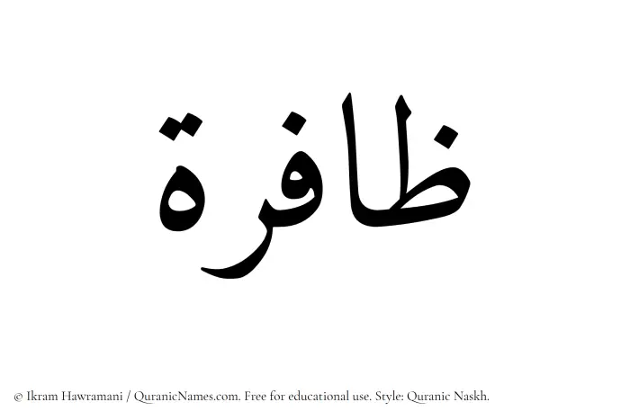 The Muslim name Zafira written in Quranic naskh script