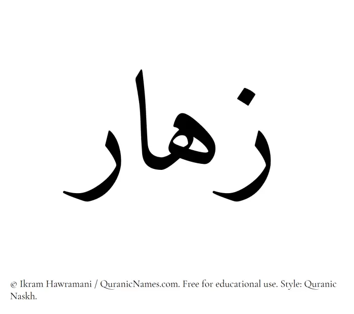 The Muslim name Zahaar written in Quranic naskh script