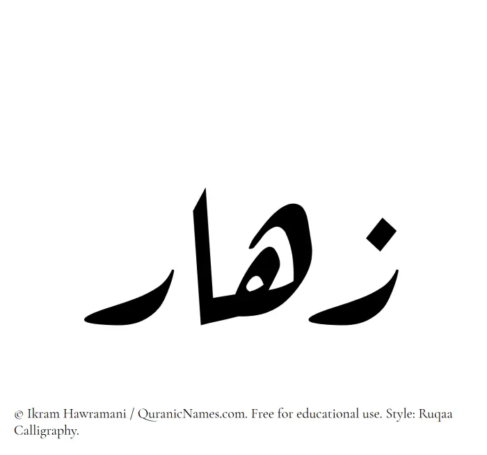 The Muslim name Zahaar written in Ruqaa calligraphic script