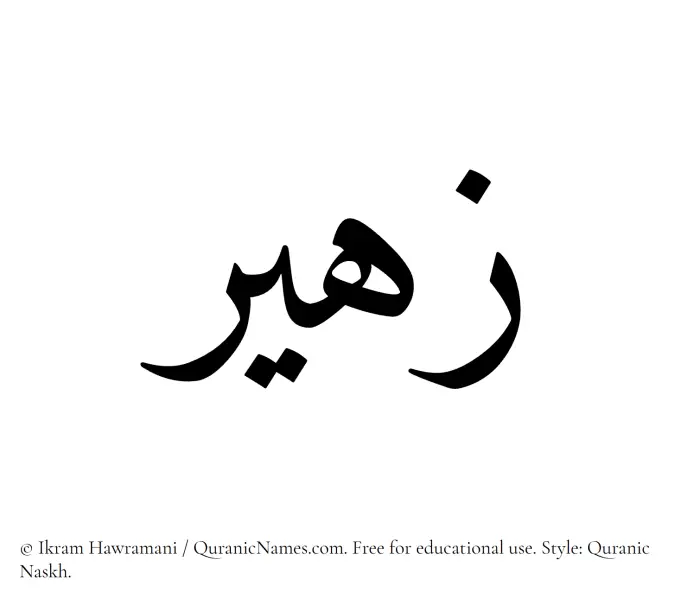 The Muslim name Zaheer written in Quranic naskh script