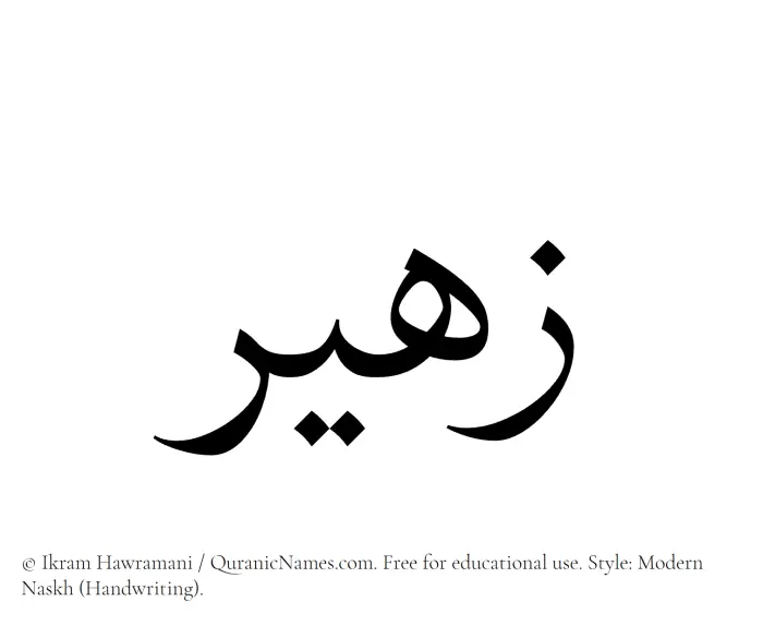 The Muslim name Zaheer written in naskh script