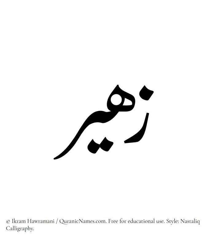 The Muslim name word Zaheer written in Nastaliq calligraphic script