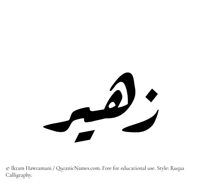 The Muslim name Zaheer written in Ruqaa calligraphic script
