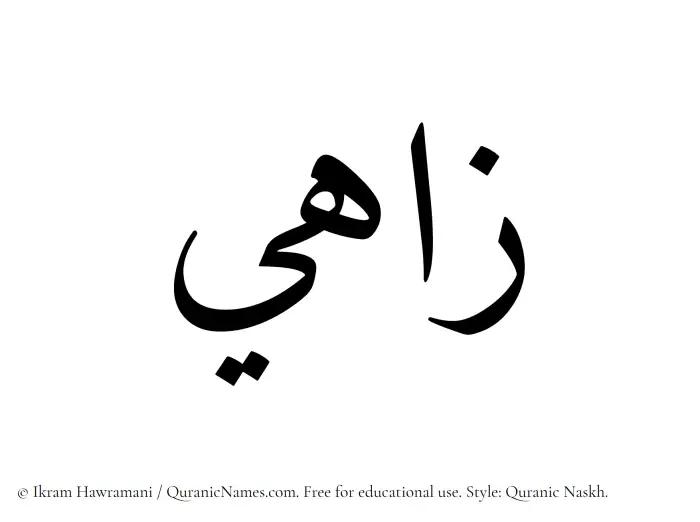 The Muslim name Zahi written in Quranic naskh script