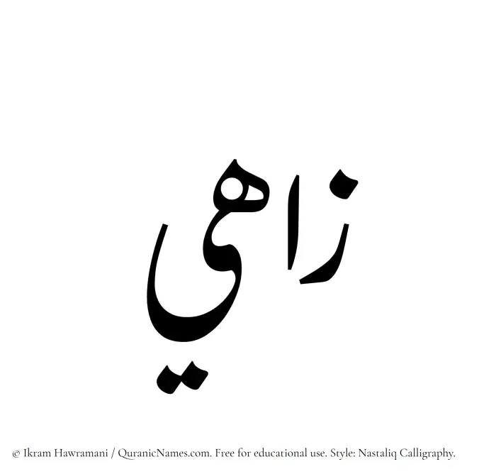 The Muslim name word Zahi written in Nastaliq calligraphic script