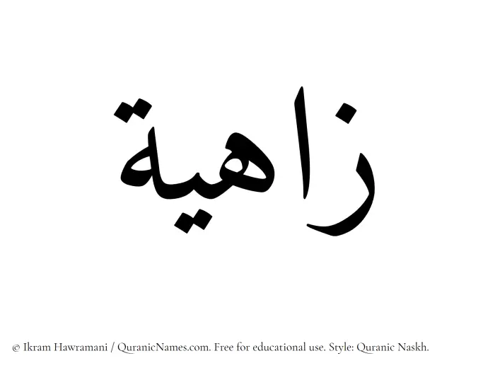 The Muslim name Zahia written in Quranic naskh script