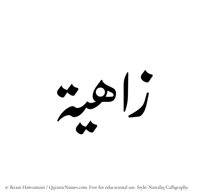 The Muslim name word Zahia written in Nastaliq calligraphic script