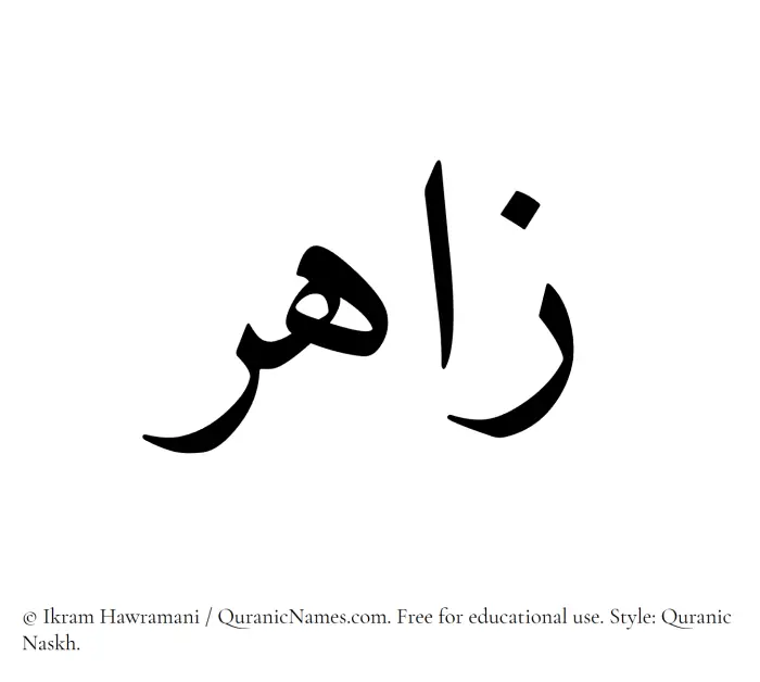 The Muslim name Zahir written in Quranic naskh script