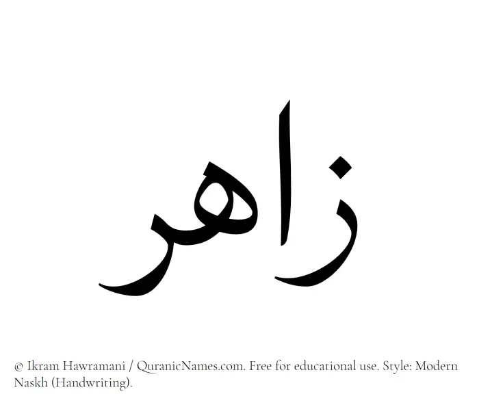 The Muslim name Zahir written in naskh script