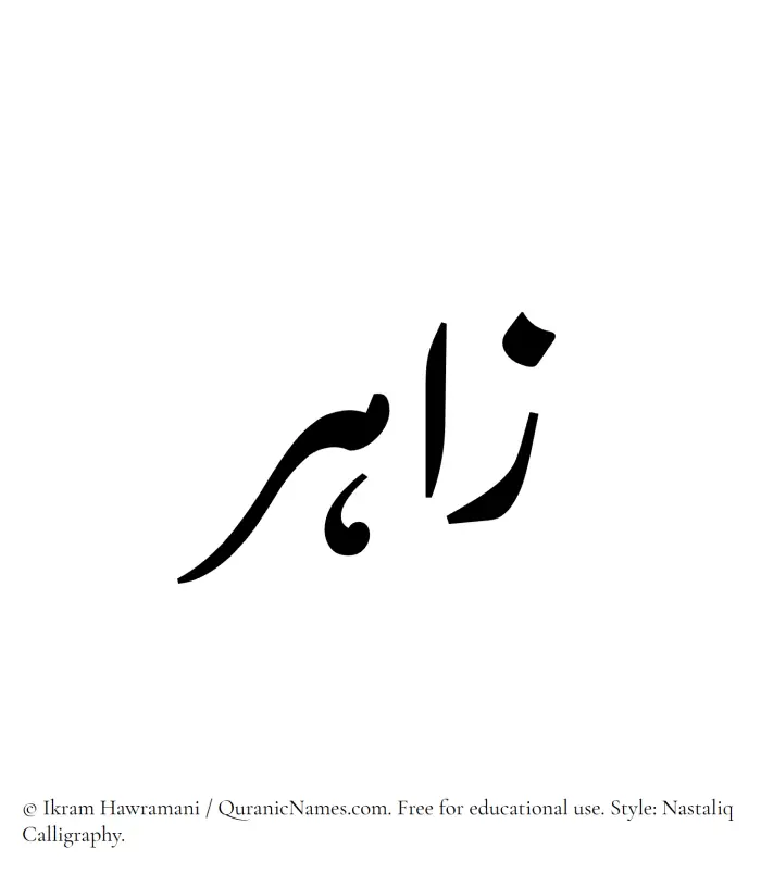 The Muslim name word Zahir written in Nastaliq calligraphic script