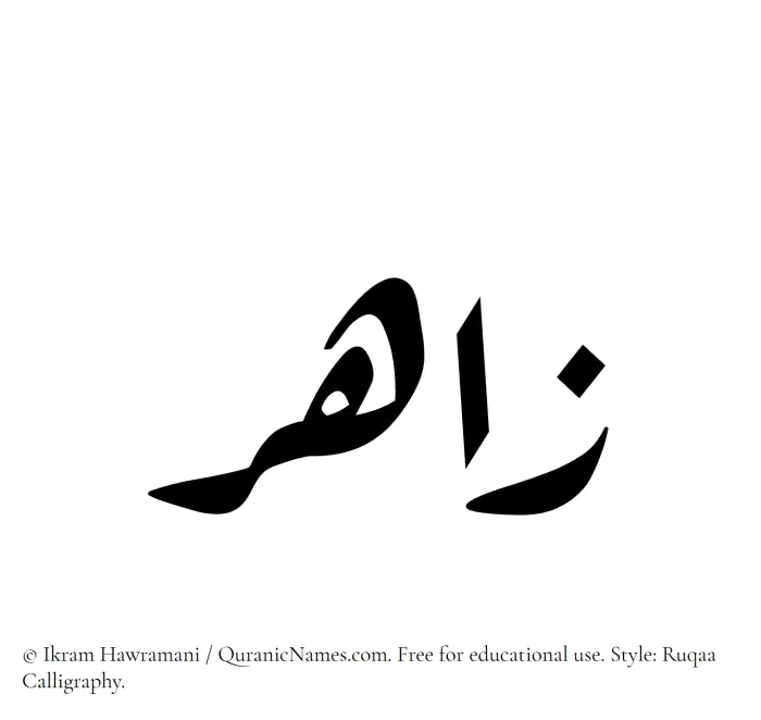 The Muslim name Zahir written in Ruqaa calligraphic script