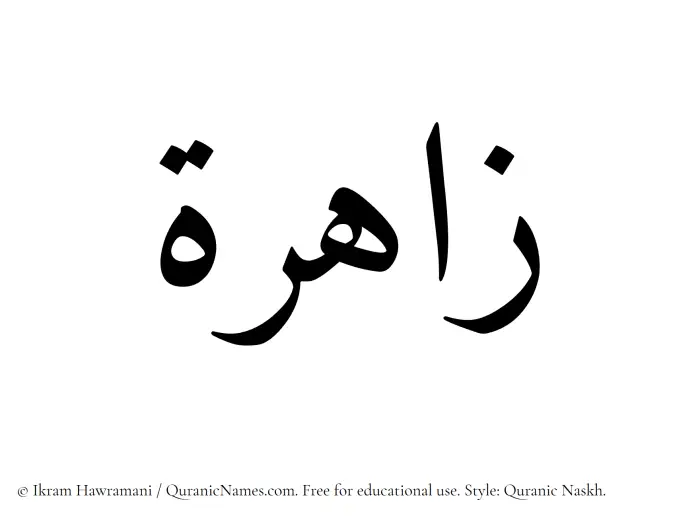 The Muslim name Zahira written in Quranic naskh script