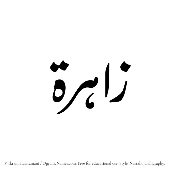 The Muslim name word Zahira written in Nastaliq calligraphic script