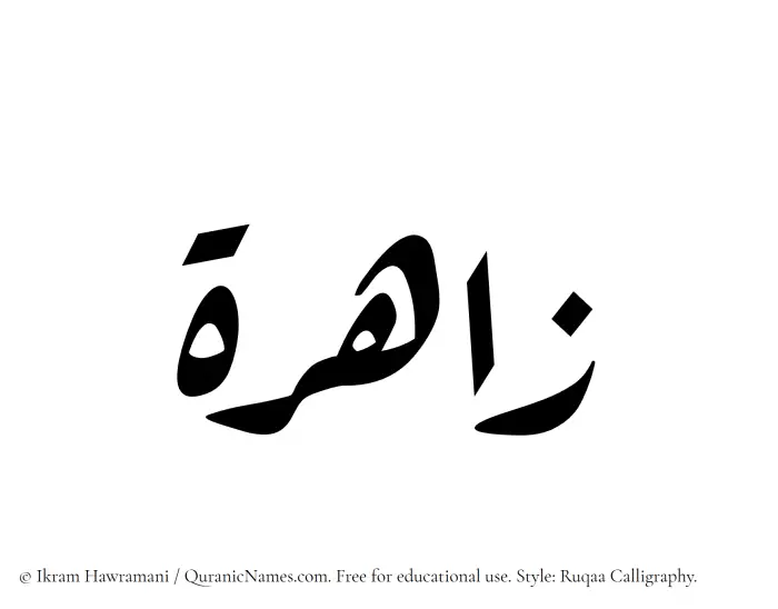 The Muslim name Zahira written in Ruqaa calligraphic script