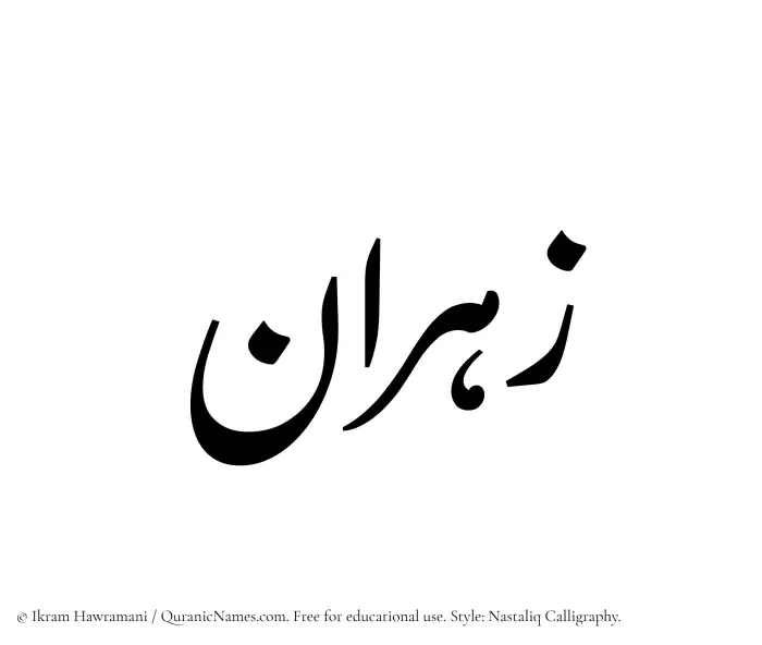 The Muslim name word Zahran written in Nastaliq calligraphic script