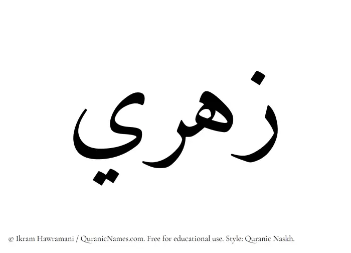 The Muslim name Zahri written in Quranic naskh script