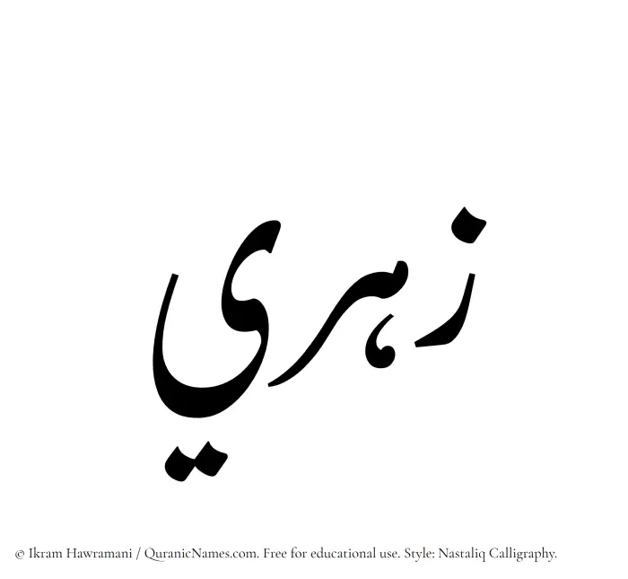 The Muslim name word Zahri written in Nastaliq calligraphic script
