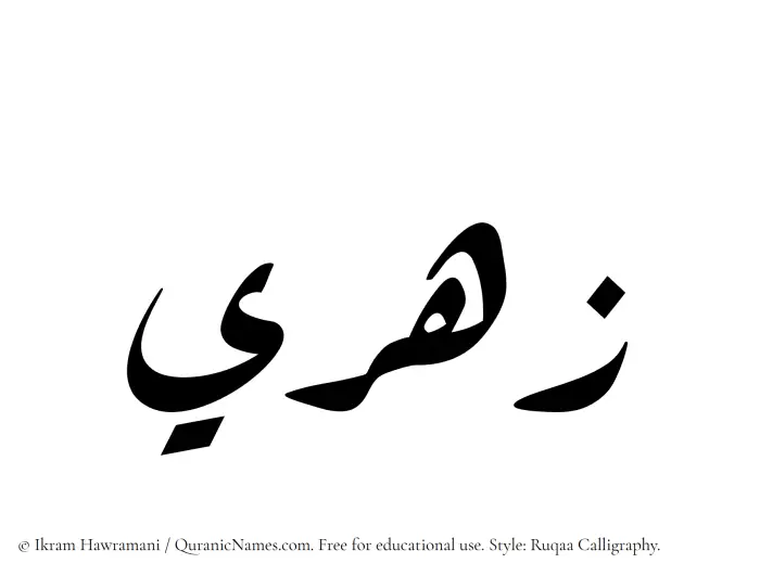 The Muslim name Zahri written in Ruqaa calligraphic script