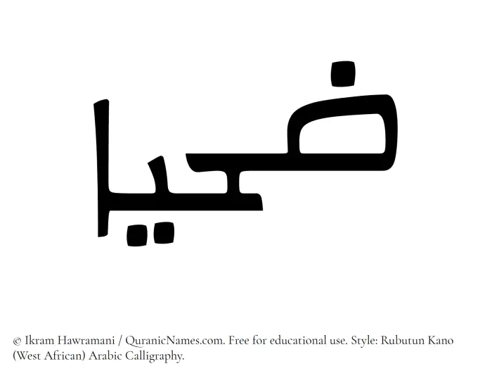 The Muslim name Zahyaa written in Rubutun Kano calligraphic script