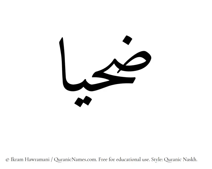 The Muslim name Zahyaa written in Quranic naskh script