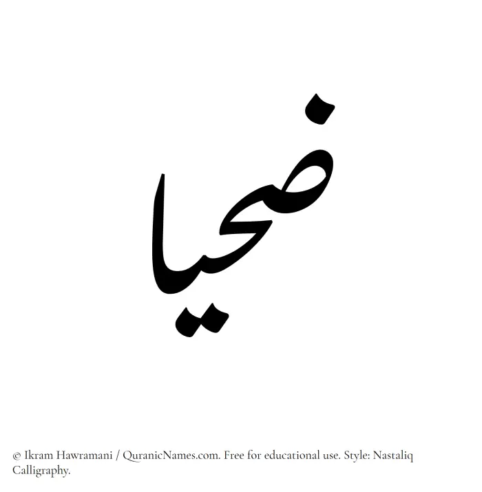 The Muslim name word Zahyaa written in Nastaliq calligraphic script