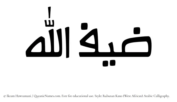 The Muslim name Zaifullah written in Rubutun Kano calligraphic script