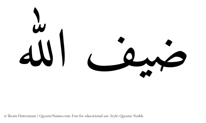 The Muslim name Zaifullah written in Quranic naskh script